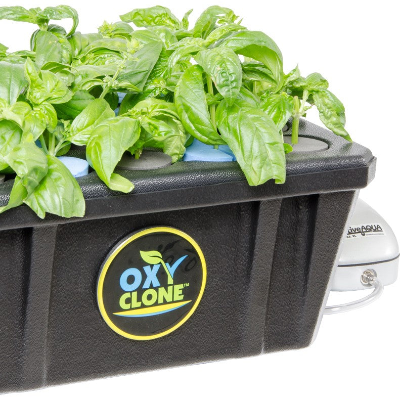 Plastic container with plant growing