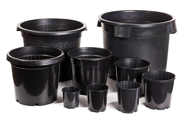 different sizes of black plastic pots