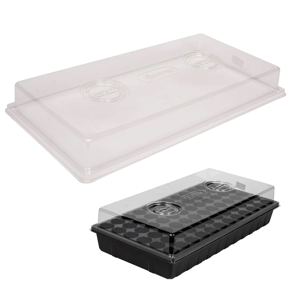 Clear Dome on Black Tray and plastic Insert