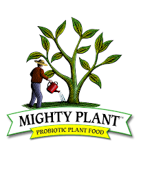 MIghty Plant