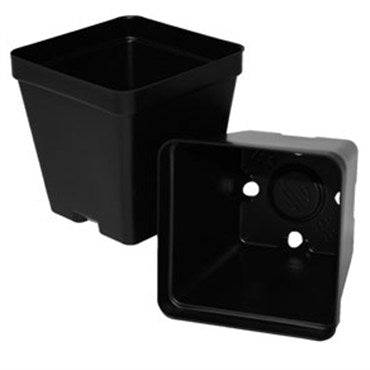 12 inch square plastic planter T.O. Plastics Square Pot Black 3.5" Deep CASE 450/Cs