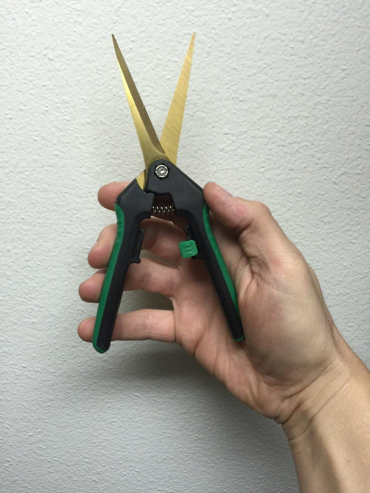 Grow1 Titanium Trimming Shears, Straight Blade Scissors - Image 5