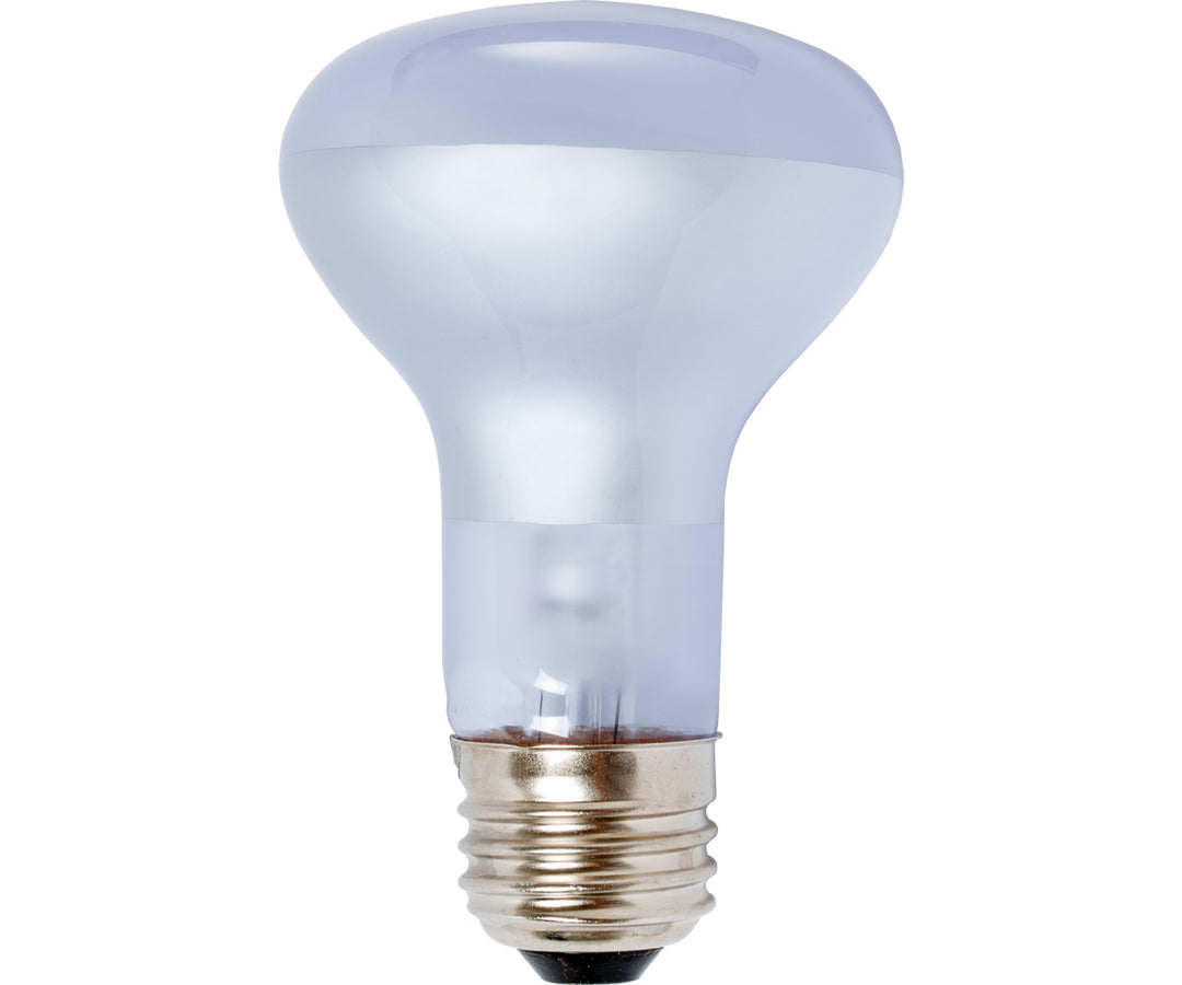 Agrosun Dayspot Incandescent Bulb 60W