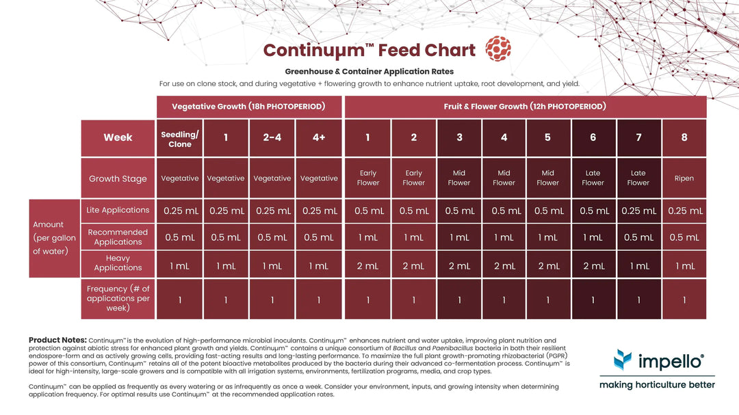 Impello Continuum