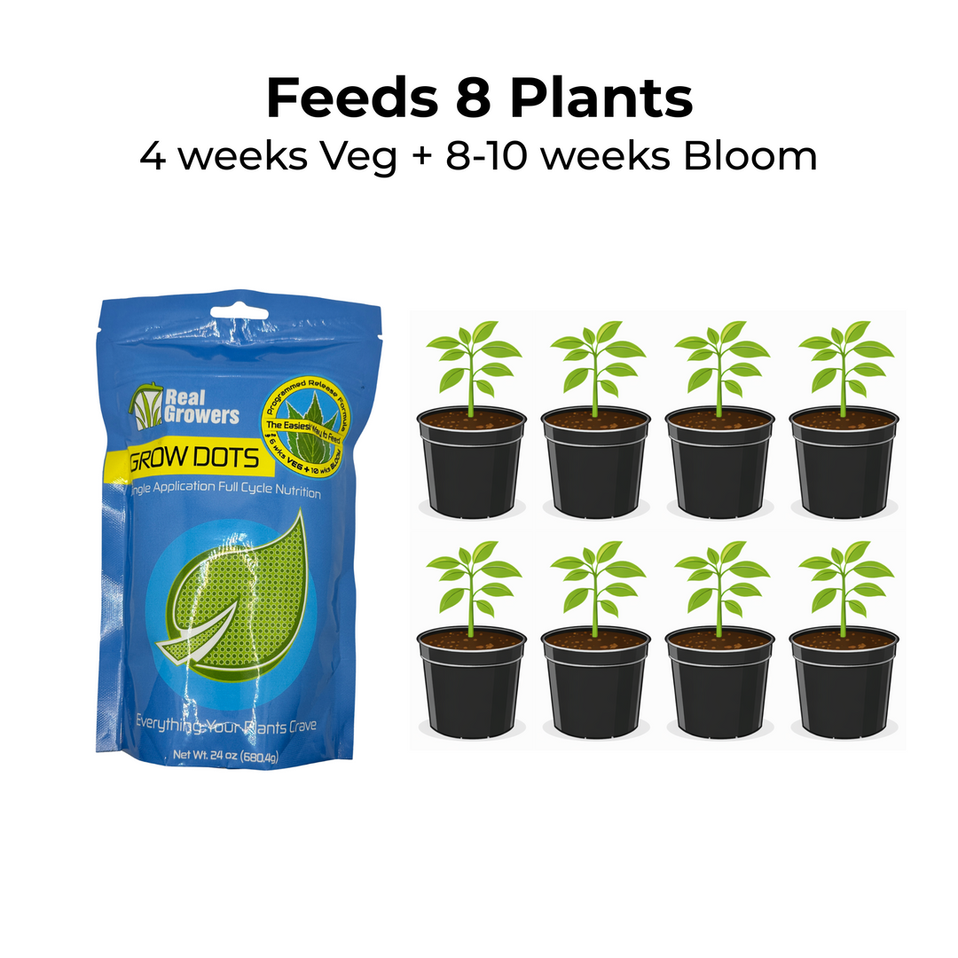 Real Growers Grow Dots Classic Formula Programmed Release Plant Food 24oz