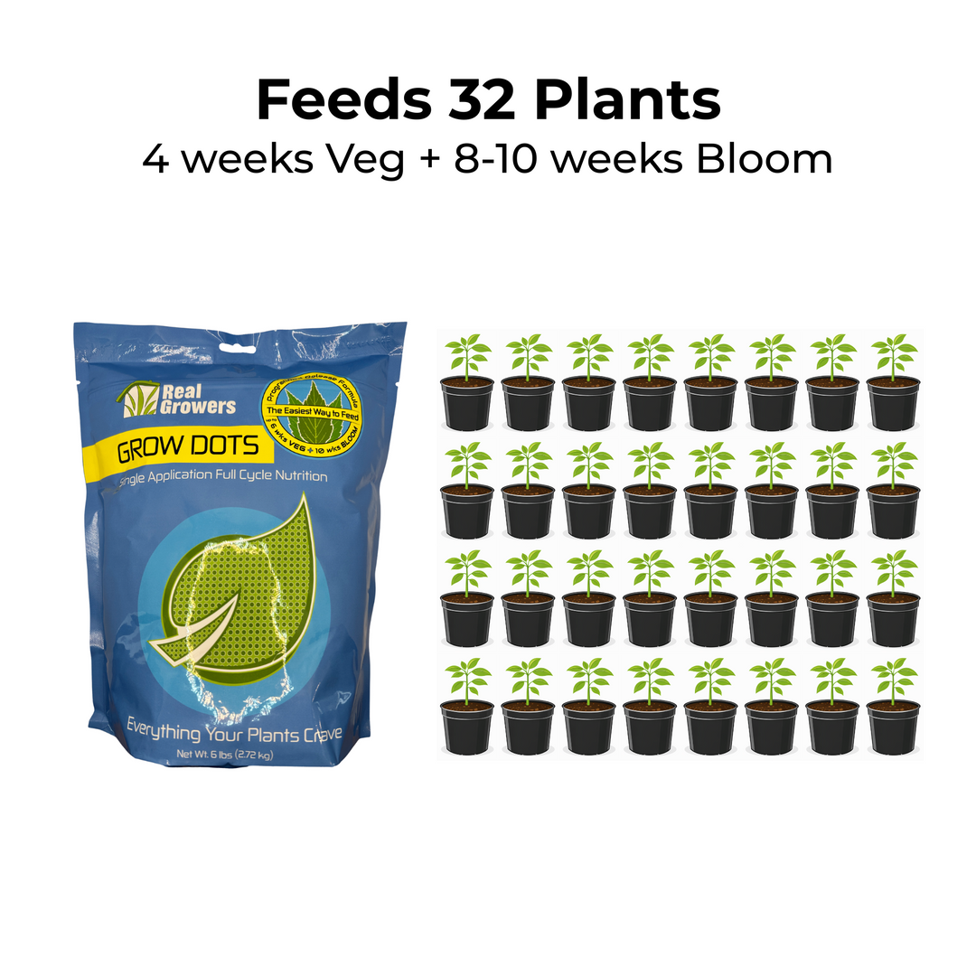 Real Growers Grow Dots Classic Formula Programmed Release Plant Food 6lb