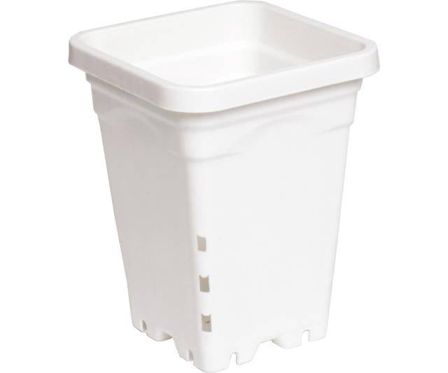 Active Aqua Square Plastic Pot White 5" X 5" X 7"  CASE 100/Cs