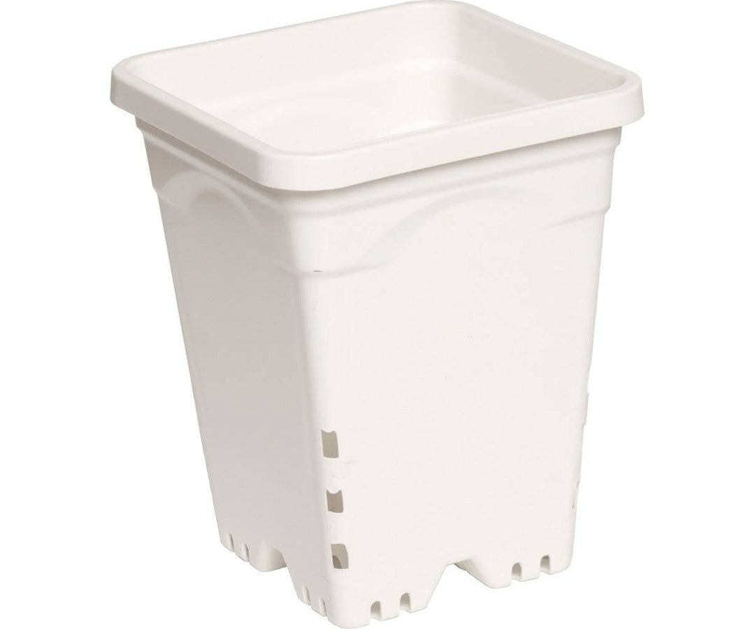 Active Aqua Square Plastic Pot White 6" X 6" X 8" CASE 50/Cs