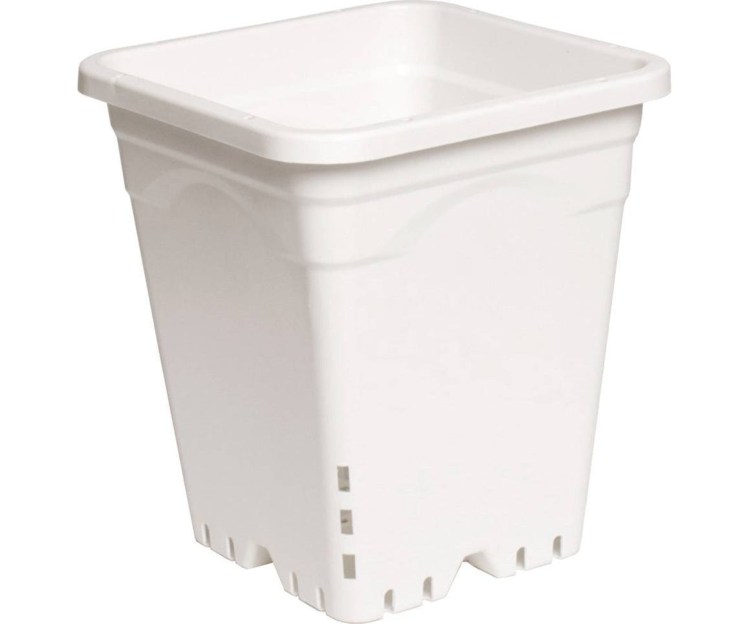 Active Aqua Square Plastic Pot White 9" X 9" X 10" CASE 24/Cs