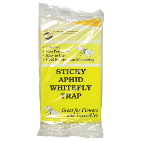 Seabright Sticky Aphid Whitefly Traps  5-Pack