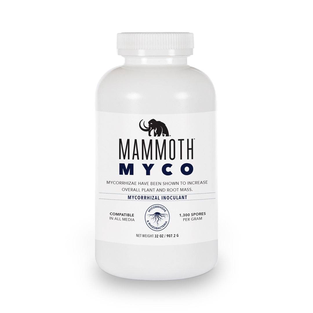 Mammoth Myco 1oz