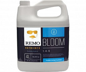 Remo Bloom