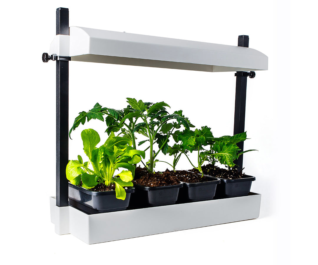 SunBlaster Micro T5 Grow Light Garden