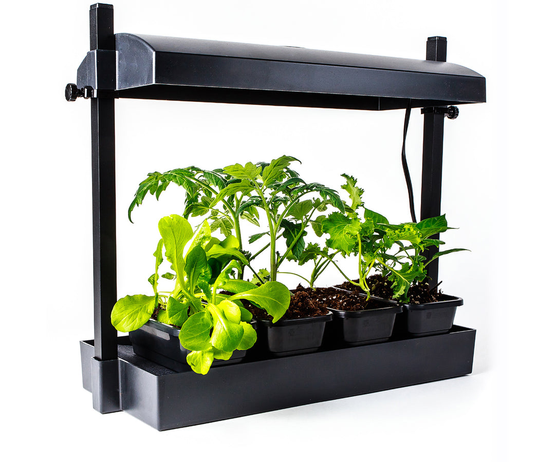 SunBlaster Micro LED Grow Light Garden