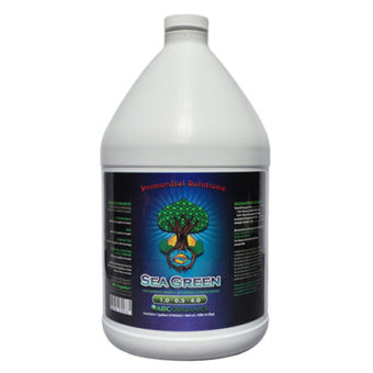 Primordial Solutions Sea Green