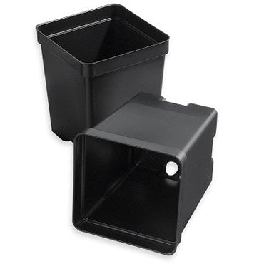 T.O. Plastics Square Pot Black 4.5" Deep - 8 Pack