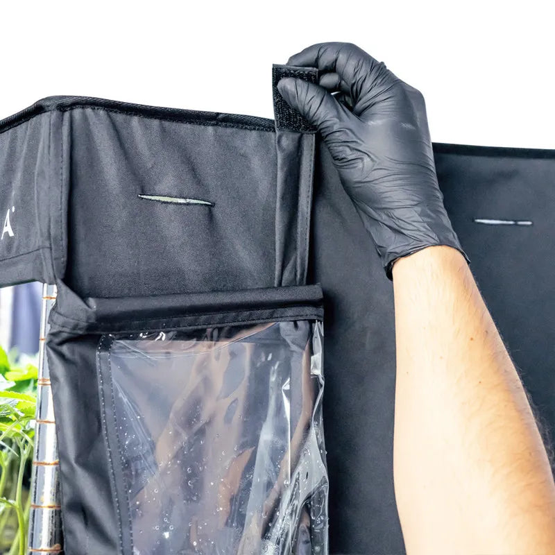 Maximize Cloning Efficiency with Athena VP Dome from IGH SUPPLY