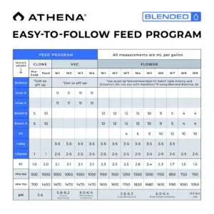 Athena Blended Starter Kit