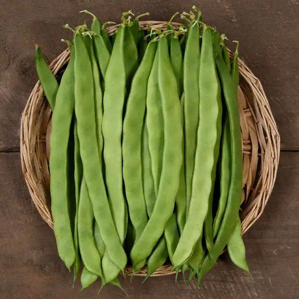 High Mowing Northeaster Pole Bean 1oz