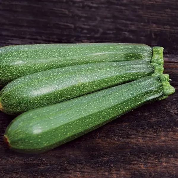 High Mowing Dark Green Zucchini 1/8oz