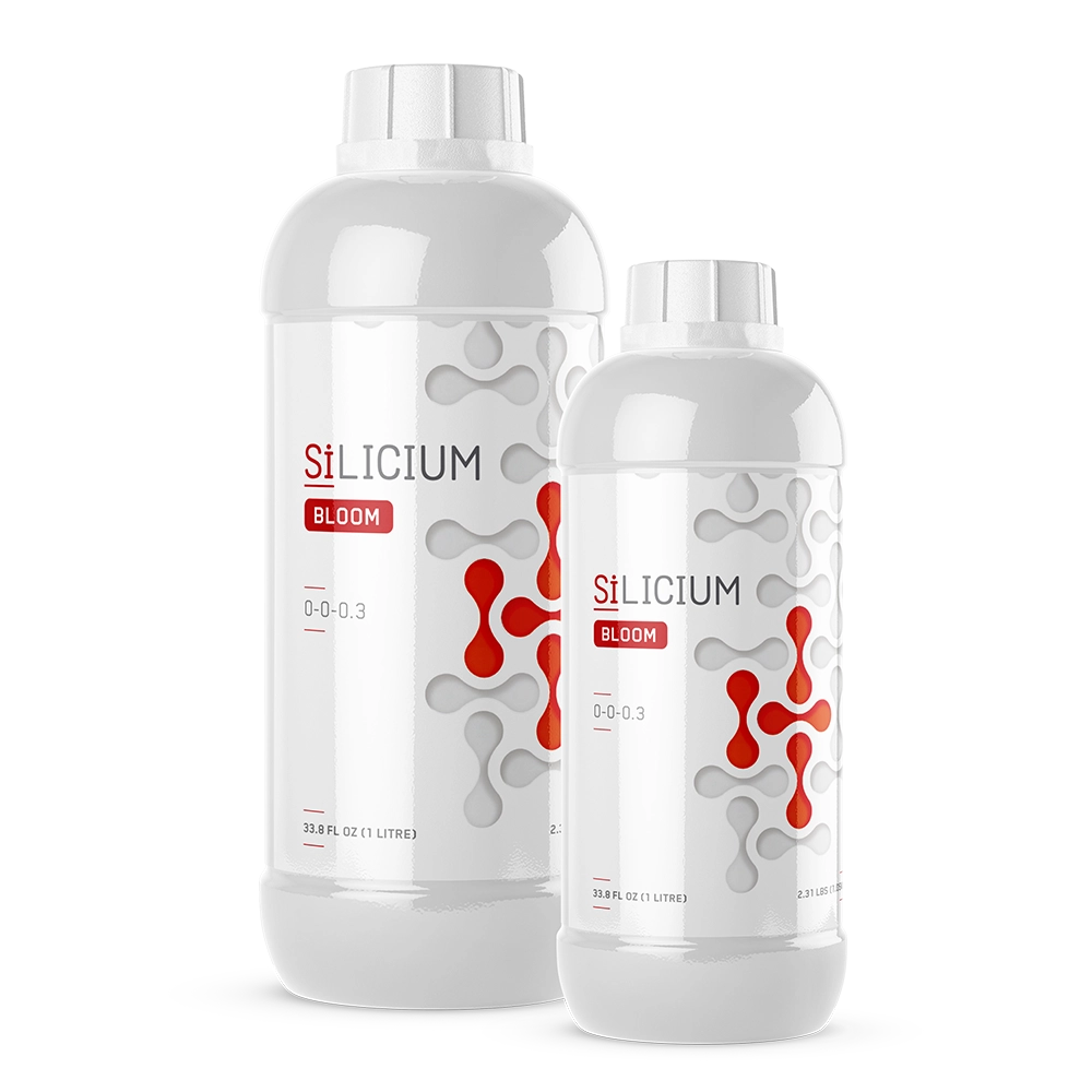 pHive.8 Silicium Bloom  0-0-0.7  -  100mL