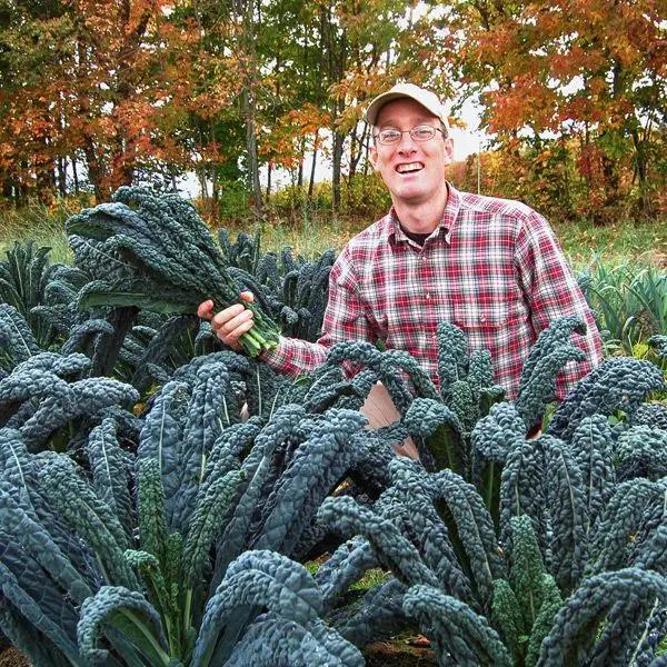 High Mowing Lacinto Kale 1/32oz