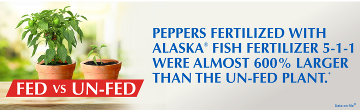 Alaska Fish Emulsion 5-1-1 Plant Fertilzer Quart