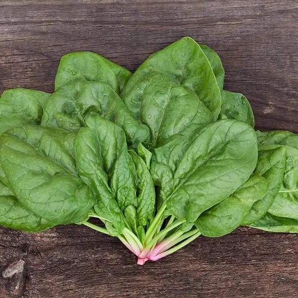 High Mowing Butterfly Spinach 1/4oz