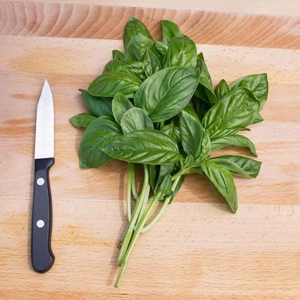 High Mowing Genovese Basil 1/32oz