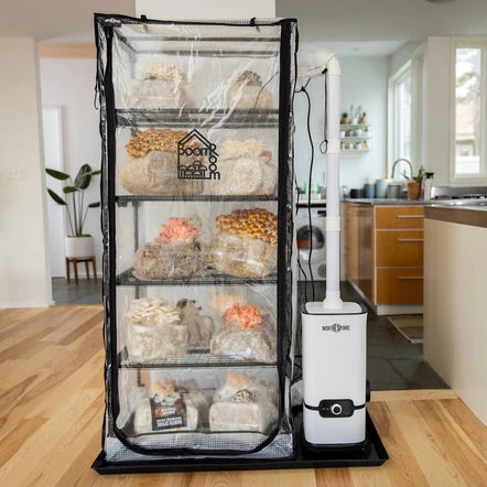 martha tent drip tray 'BoomRoom II' Automated Martha Tent Mushroom Grow Kit