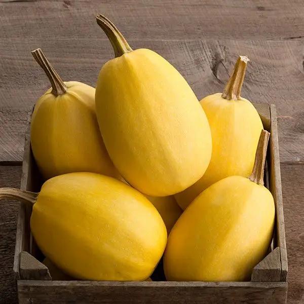 High Mowing Spaghetti Squash 1/8oz