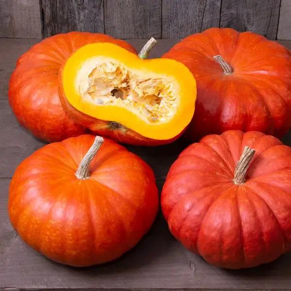 High Mowing Cinderella Rouge VIF D'Etampes Pumpkin 1/8oz