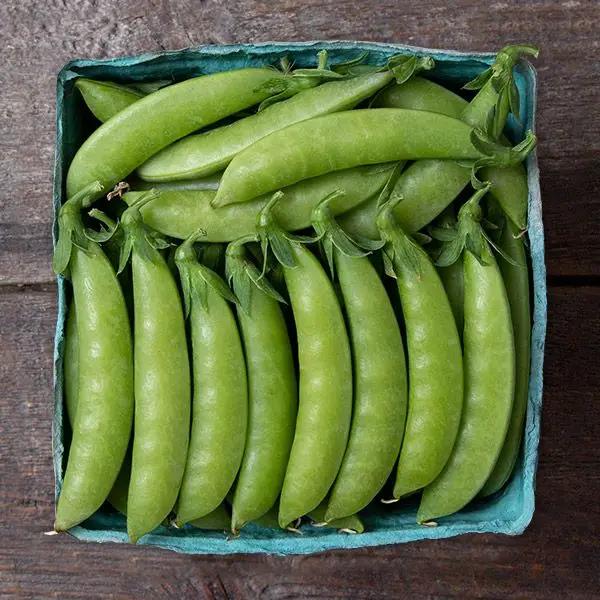 High Mowing Sweet Gem Sugar Snap Pea 1oz