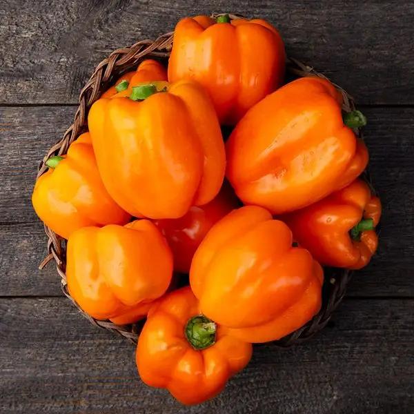 High Mowing Cubo Orange Sweet Pepper 10 Seeds