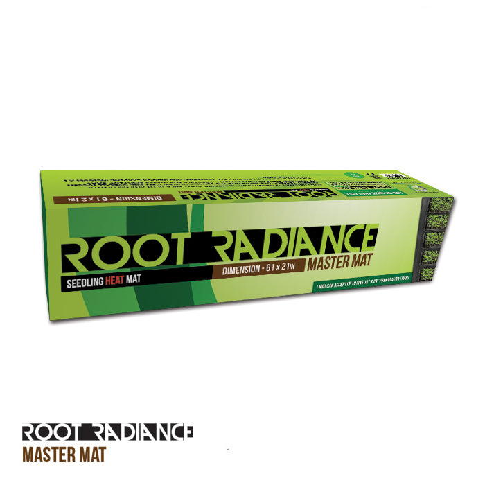 rectangle green box
