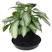 Gro Pro NX Level Pot Elevator 18.5"  - 6 Pack