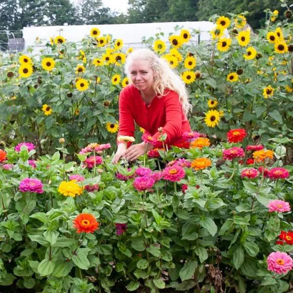 High Mowing County Fair Blend Zinnias 1/32oz
