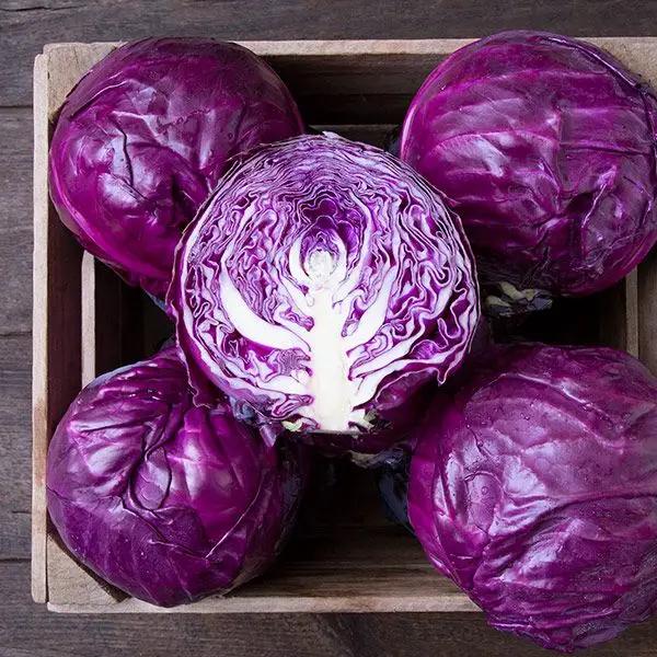 High Mowing Amarant Cabbage 25 Seeds