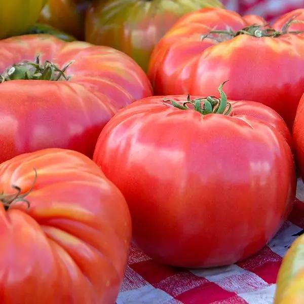 High Mowing Brandywine Tomato 1/10 gram