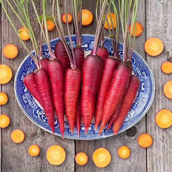 High Mowing Cosmic Purple Carrot 1/32oz