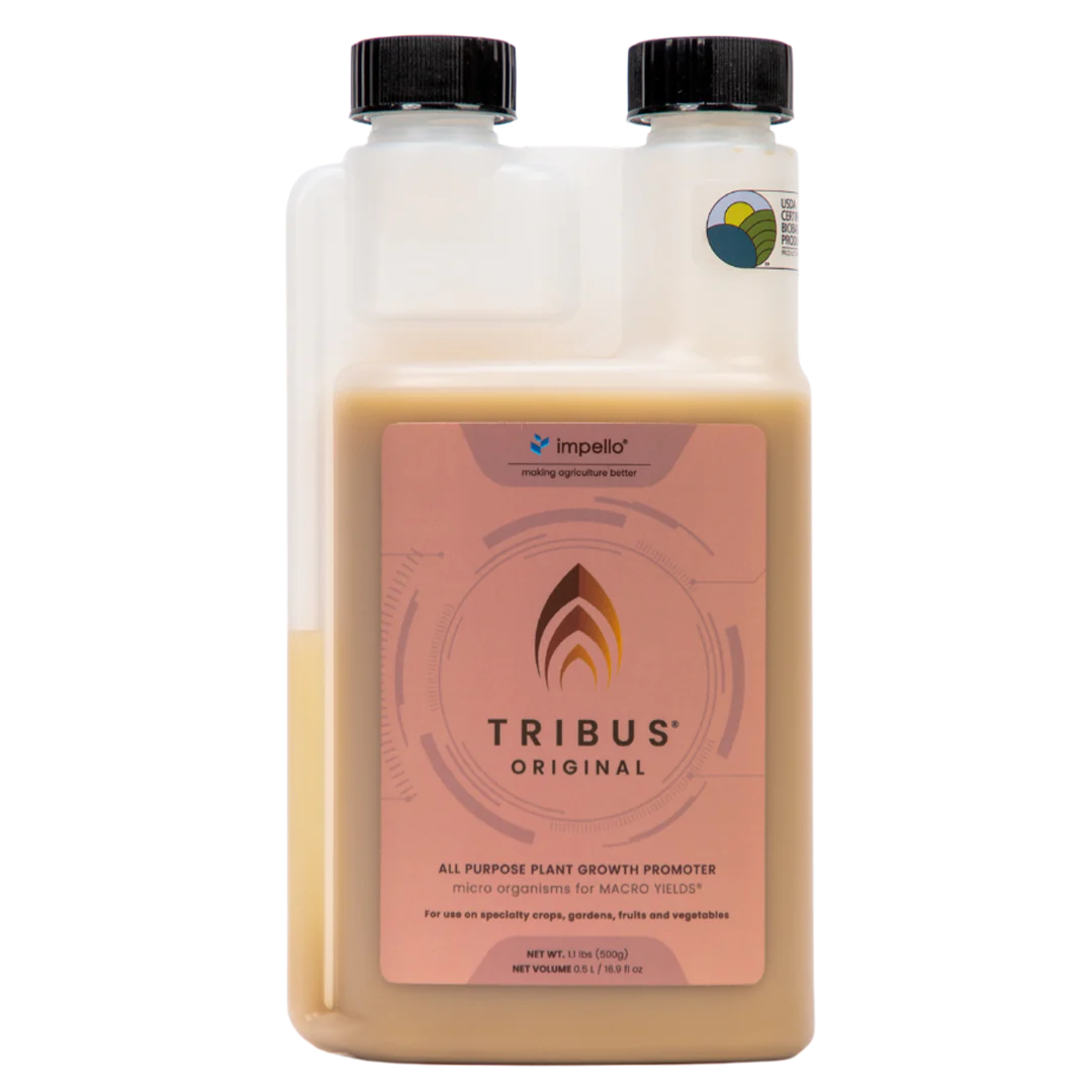 Impello Tribus Original 500mL