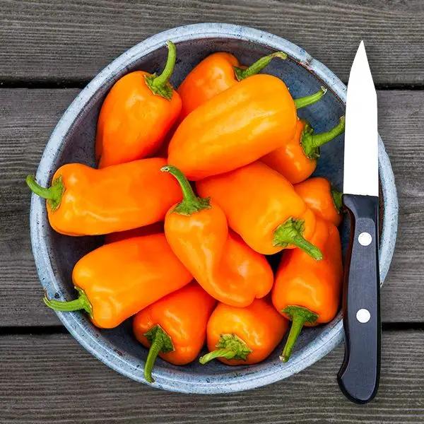 High Mowing HMS Orange Picnic Pepper 10 Seeds