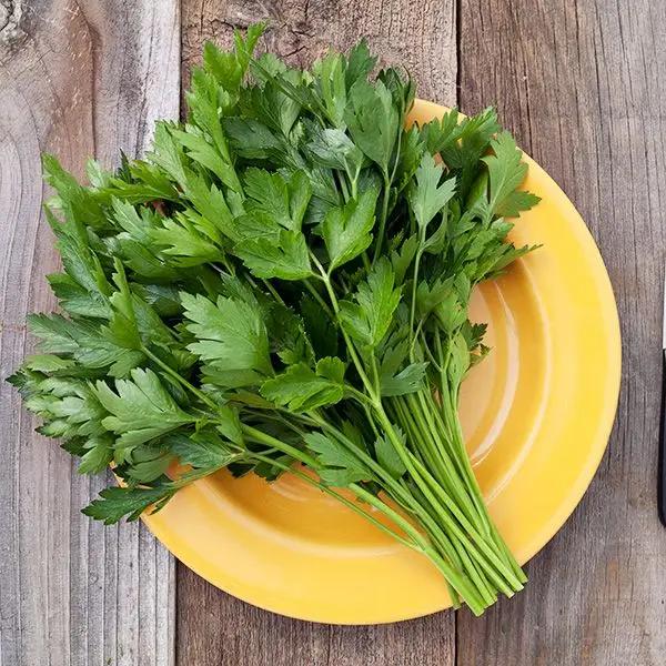 High Mowing Italian Flat Leaf Parsley 1/32oz