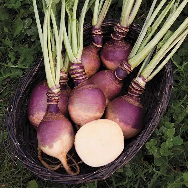 High Mowing Joan Rutabaga 1/32oz
