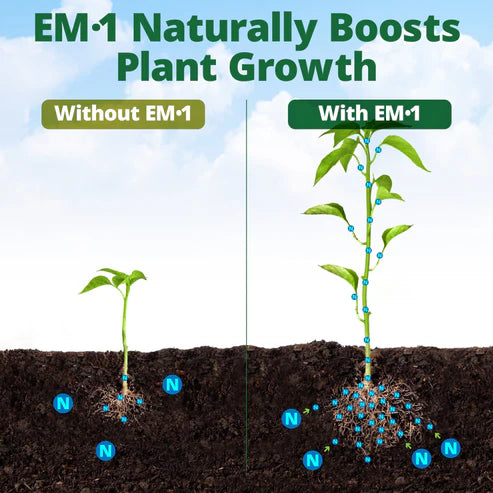 Teraganix EM 1 Microbial Inoculant Quart