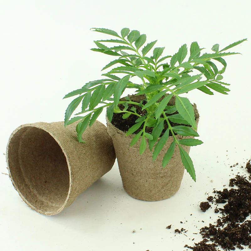 Jiffy Pots 3" Round - 10 Pack