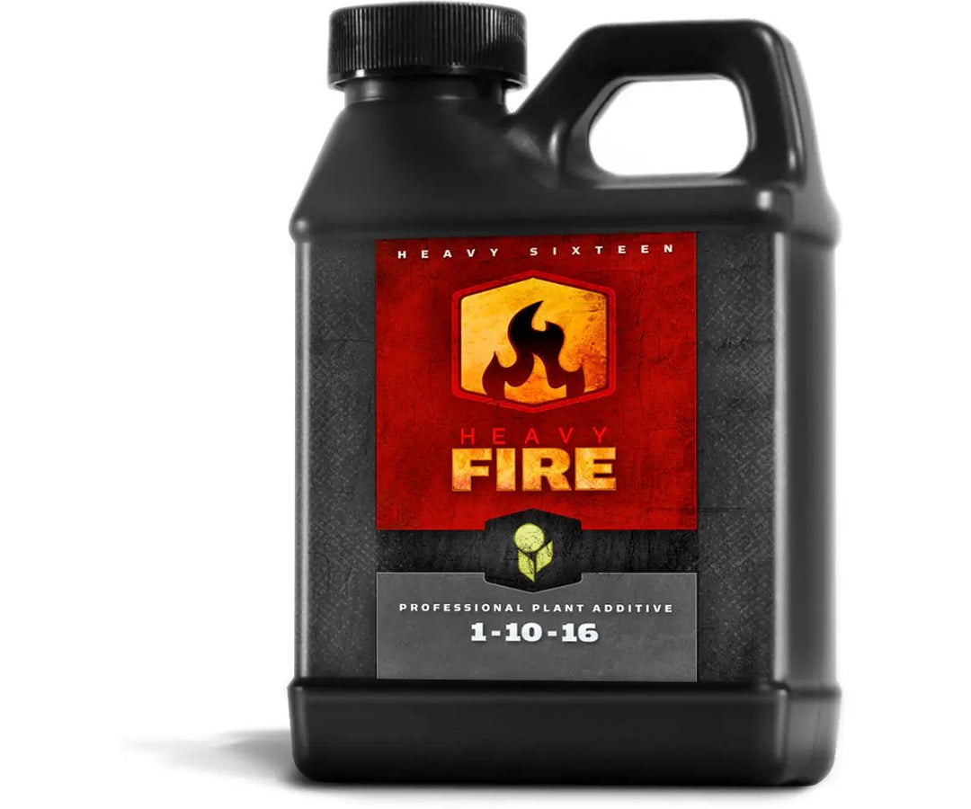 Heavy 16 - Fire 16oz