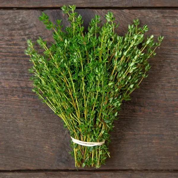 High Mowing Thyme 1/10 gram