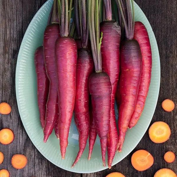 High Mowing Organic Seeds Dragon Carrot