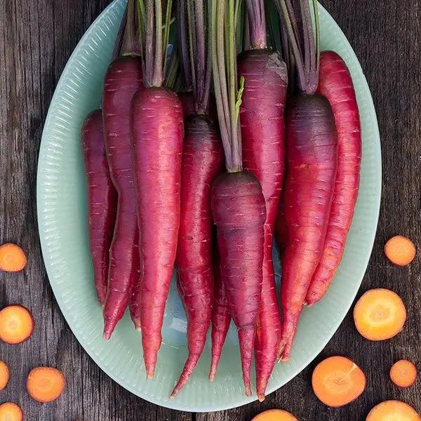 High Mowing Dragon Carrot 1/32oz